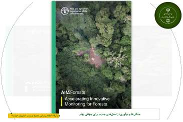 جنگل‌ها و نوآوری؛ راه‌حل‌های جدید برای جهانی بهتر